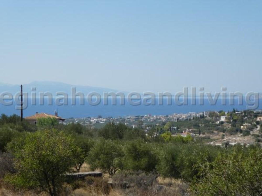 Land plot with sea view  - Property Aegina